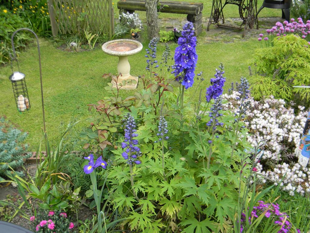 Ugiebrae House Bed & Breakfast North Sunderland Eksteriør bilde